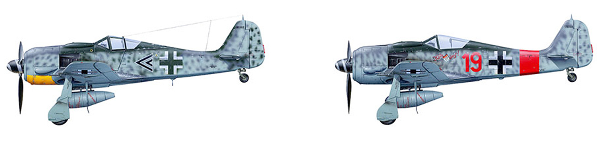 FOCKE-WULF FW 190 A-8/A-8 R2 (Tamiya 1:48) 