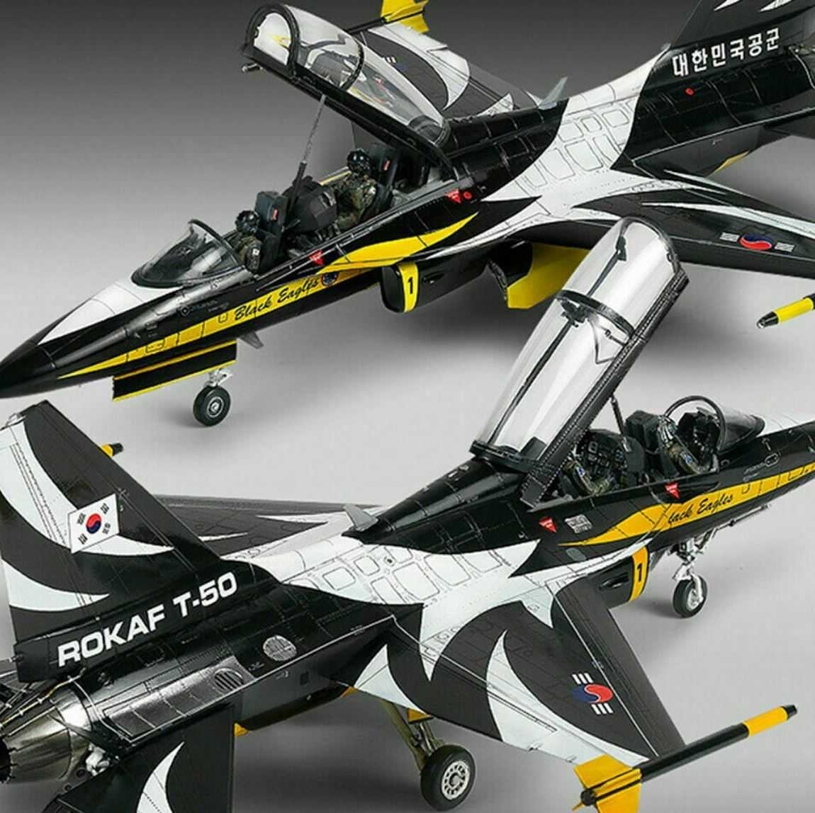 T-50B Black Eagles 1:48