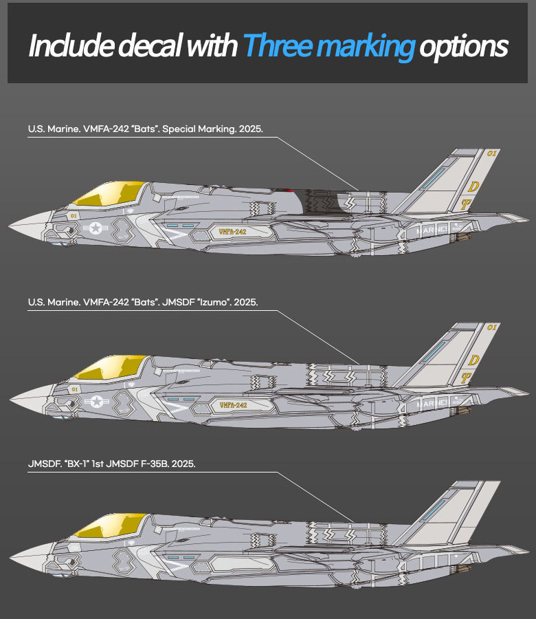 Lockheed Martin F-35B Lightning II, VMFA-242 Bats